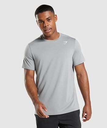 Men's Gymshark Arrival Regular Fit T Shirts Grey | NZ_3190AHK