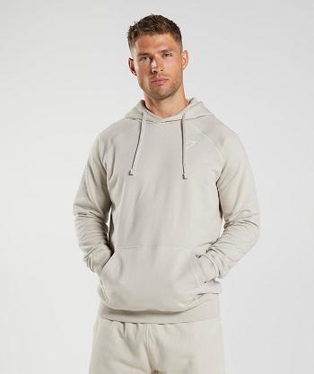 Men's Gymshark Crest Hoodie Grey | NZ_3493VRW