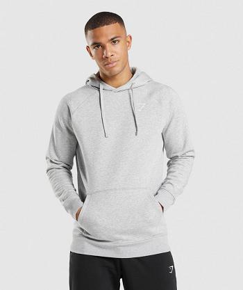Men's Gymshark Crest Hoodie Light Grey | NZ_3478GSO
