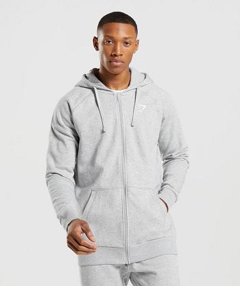 Men's Gymshark Crest Zip Up Hoodie Light Grey | NZ_3491XYU