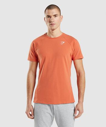 Men's Gymshark Critical T Shirts Orange | NZ_3125HAP