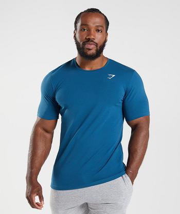 Men's Gymshark Essential T Shirts Blue | NZ_3245XYU