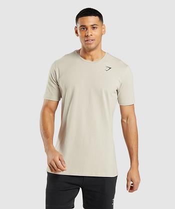 Men's Gymshark Essential T Shirts Grey | NZ_3255TCE