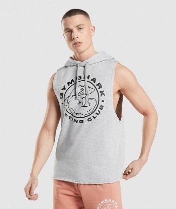 Men's Gymshark Legacy Drop Arm Hoodie Light Grey | NZ_3449TCE