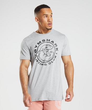Men's Gymshark Legacy T Shirts Light Grey | NZ_3140DFM