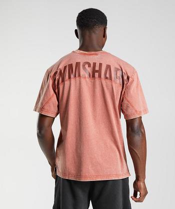 Men's Gymshark Power Washed T Shirts Rose Brown | NZ_3297WNB