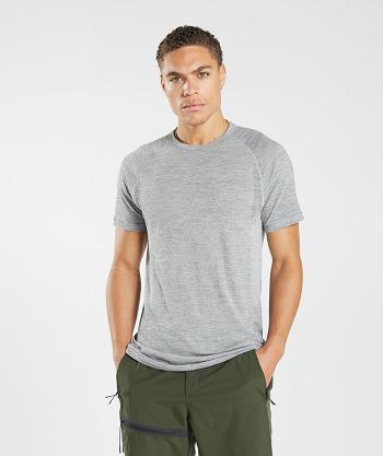 Men's Gymshark Retake Seamless T Shirts Light Grey / Black | NZ_3219XYU