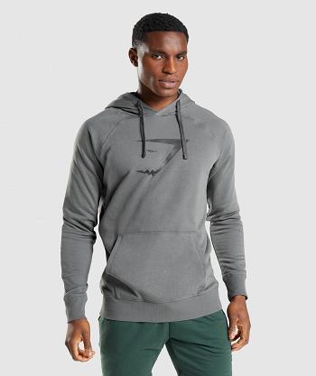Men's Gymshark Sharkhead Infill Hoodie Grey | NZ_3460GSO
