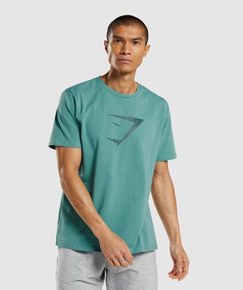 Men's Gymshark Sharkhead Infill T Shirts Turquoise | NZ_3128LIS