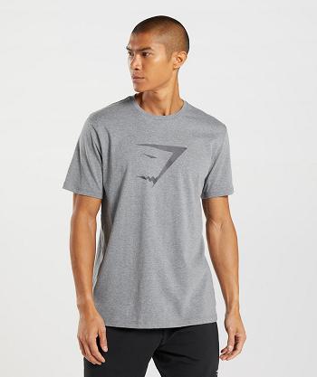 Men's Gymshark Sharkhead Infill T Shirts Grey | NZ_3231UZG