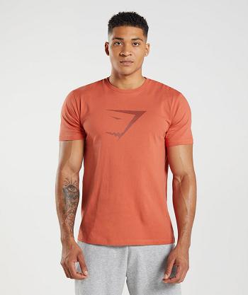 Men's Gymshark Sharkhead Infill T Shirts Red | NZ_3250MQZ