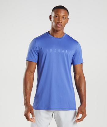 Men's Gymshark Sport Stripe T Shirts Blue | NZ_3105VRW
