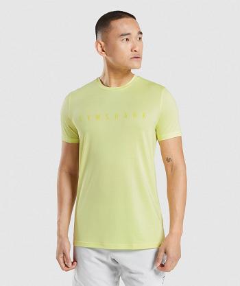 Men's Gymshark Sport Stripe T Shirts Green | NZ_3095DFM