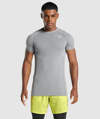 Men's Gymshark Vital Light Seamless T Shirts Grey | NZ_3163PJJ