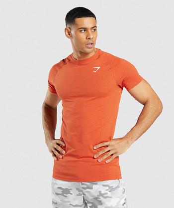 Men's Gymshark Vital Light Seamless T Shirts Orange | NZ_3210SGL