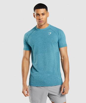 Men's Gymshark Vital Light Seamless T Shirts Turquoise | NZ_3211DFM
