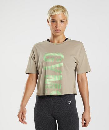 Women's Gymshark 315 Midi T Shirts Brown / Light Green | NZ_4007JPQ