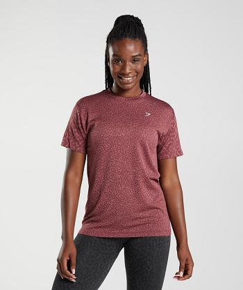 Women's Gymshark Adapt Animal Seamless T Shirts Pink Brown | NZ_4033HAP