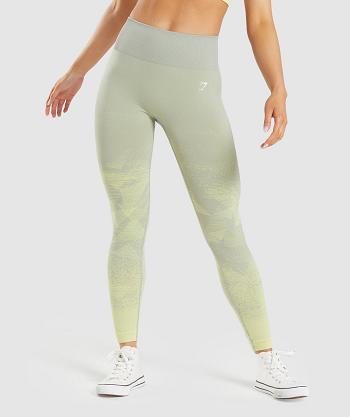 Women's Gymshark Adapt Ombre Seamless Leggings Grey Brown Grey | NZ_4726GSO