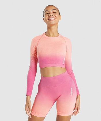 Women's Gymshark Adapt Ombre Seamless Long Sleeve Orange / Pink | NZ_4237SGL