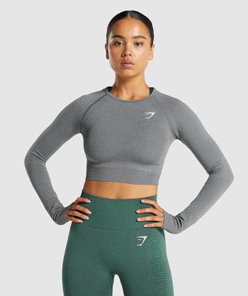 Women's Gymshark Vital Seamless 2.0 Long Sleeve Grey | NZ_4253WNB