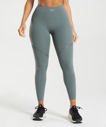 Women's Gymshark Whitney Mesh Leggings Grey | NZ_4756AHK