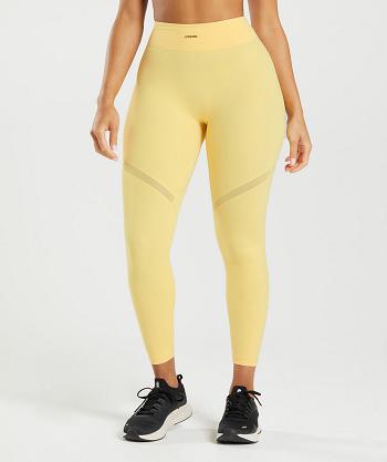 Women's Gymshark Whitney Mesh Leggings Yellow | NZ_4739XYU
