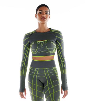 Women's Gymshark Wtflex Linear Seamless Long Sleeve Grey / Green / Light Grey | NZ_4254AHK